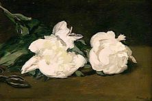 Haga click para ver la imagen ampliada manet19fra branche de pivoines blanches et secateur 1964.jpg